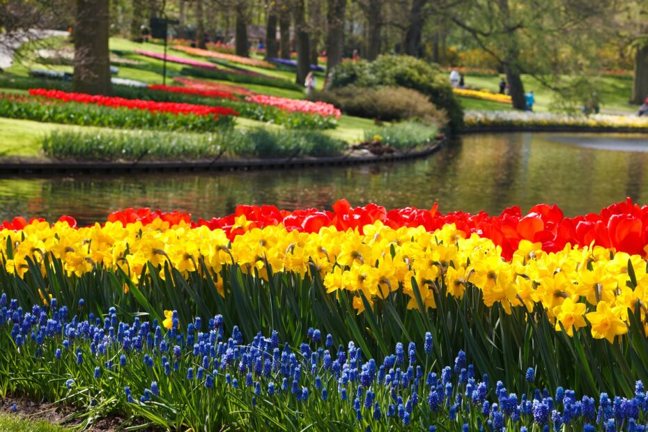 Ein wunderschöner Garten