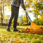 Mann in seinen Händen mit einem fächerförmigen gelben Rechen sammelt gefallene Herbstblätter im Park. Ein Rechen und ein Haufen Blätter auf dem Rasen. Herbstliche Sauberkeit im Gartenhof