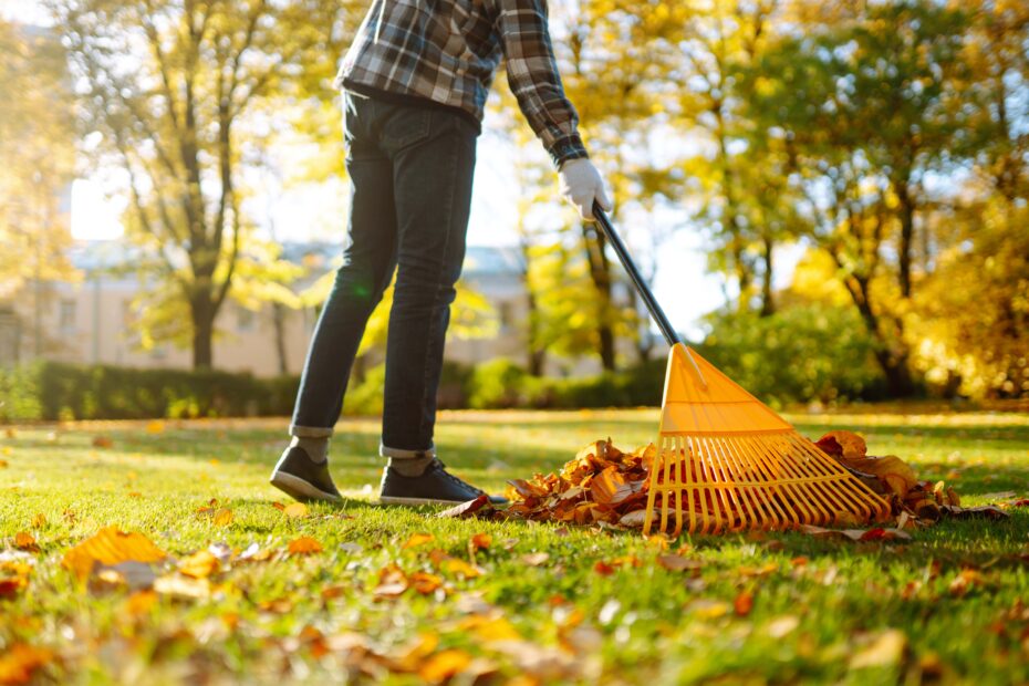 Mann in seinen Händen mit einem fächerförmigen gelben Rechen sammelt gefallene Herbstblätter im Park. Ein Rechen und ein Haufen Blätter auf dem Rasen. Herbstliche Sauberkeit im Gartenhof