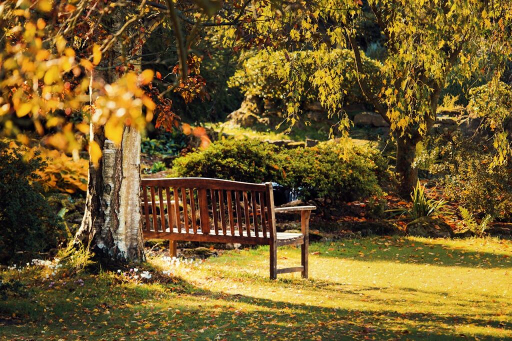 Gartenszenerie im Herbst