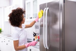 Junge Frau, Hausdame, Reinigung Kühlschrank mit gelbem Lappen und Spray, Reinigungsmittel